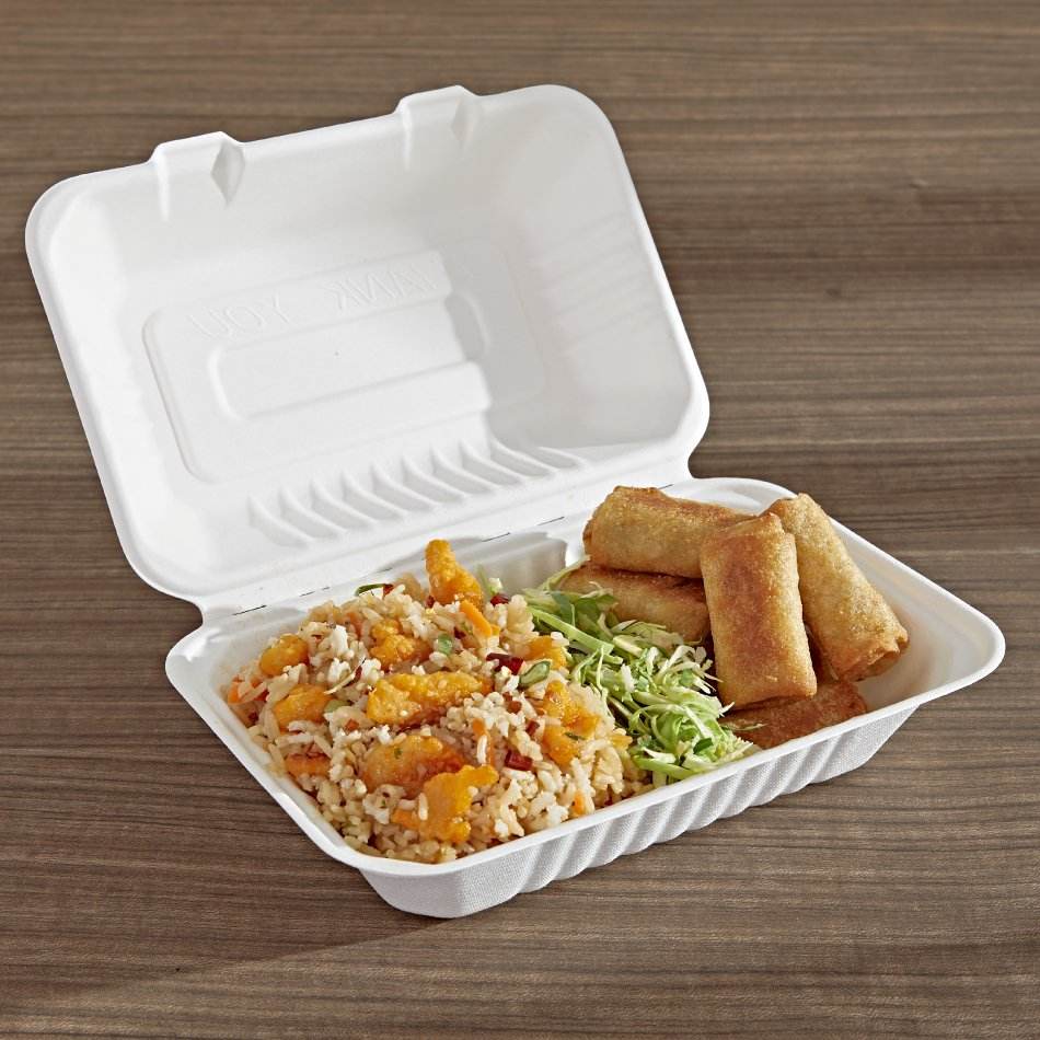 Biodegradable 9-Inch Sugarcane Bagasse Takeaway Food Container