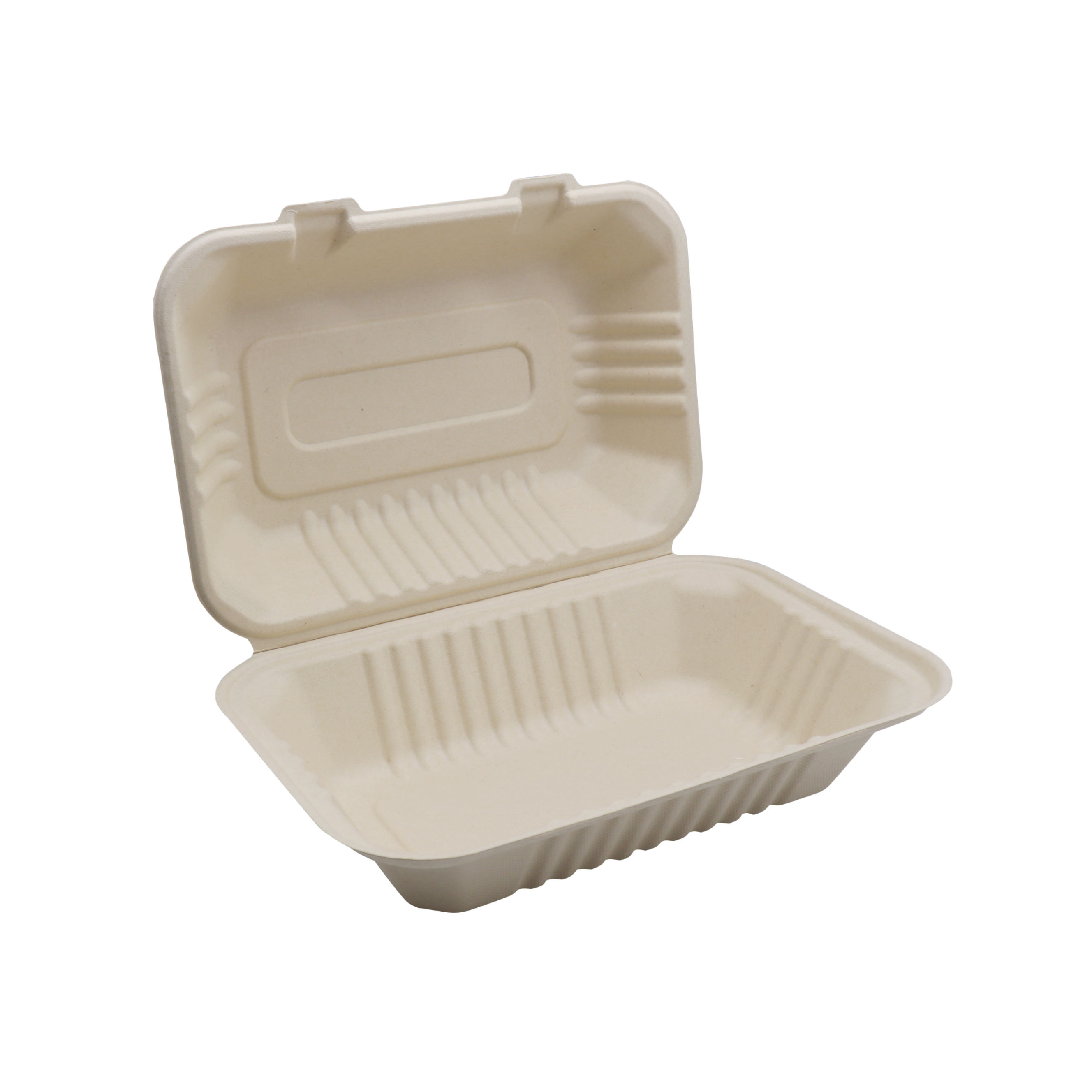 Biodegradable 9-Inch Sugarcane Bagasse Takeaway Food Container