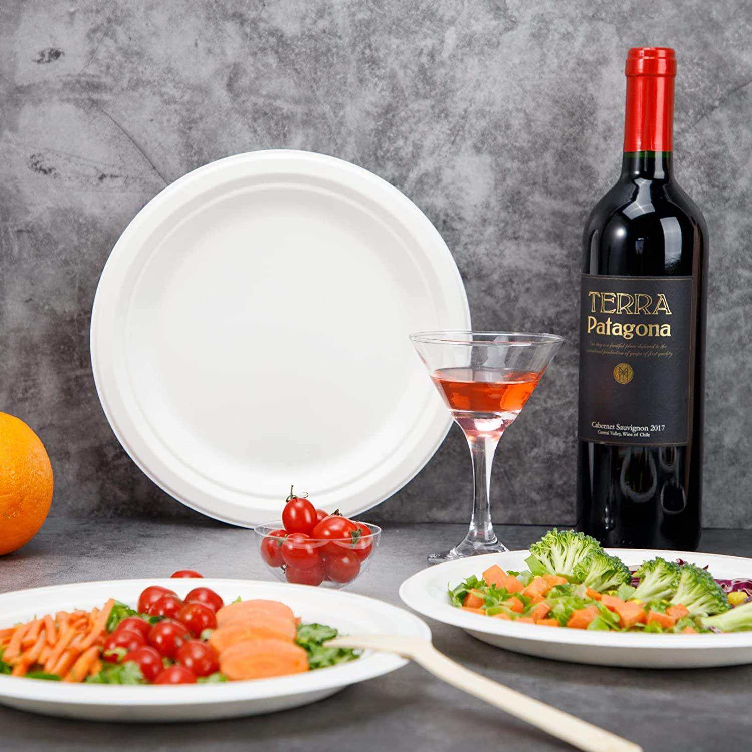 Bagasse Natural Biodegradable Eco-Friendly Food Grade Commercial Sugarcane 10 Inch 100% Compostable Heavy-Duty Paper Plates