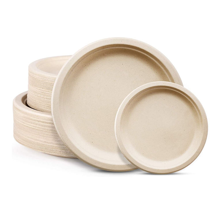 Disposable Sugarcane Bagasse Plates Low Price Sturdy and Compostable Tableware