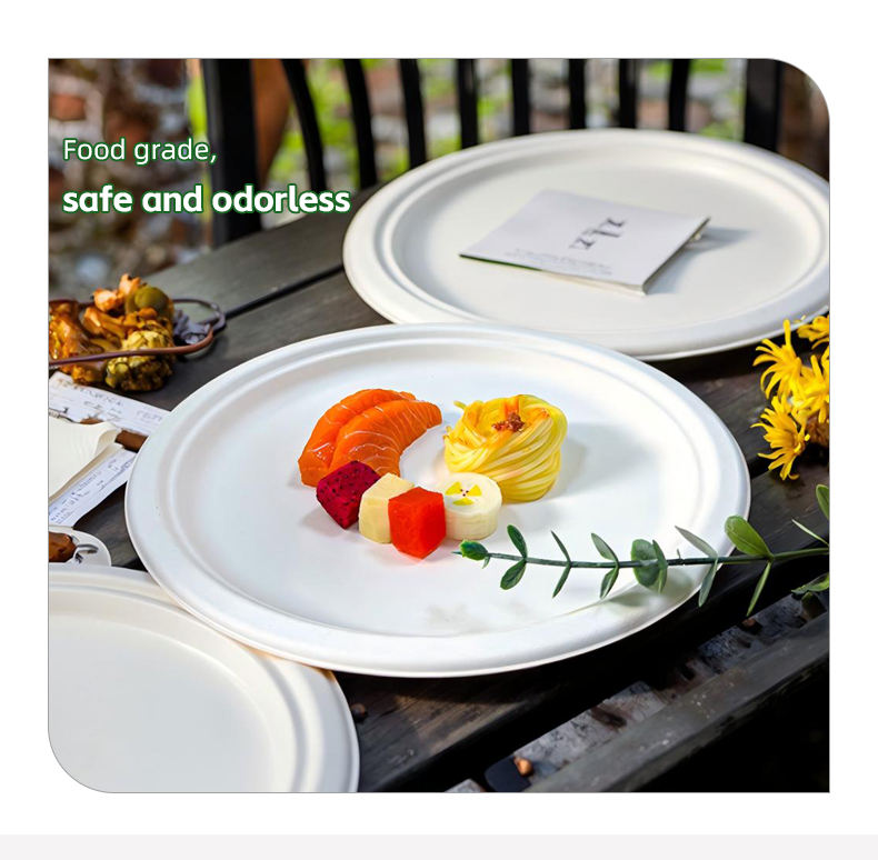 9 Inch Heavy Duty Biodegradable Sugarcane Plates Compostable Oval Paper Plates Bagasse Disposable Party BBQ Plate