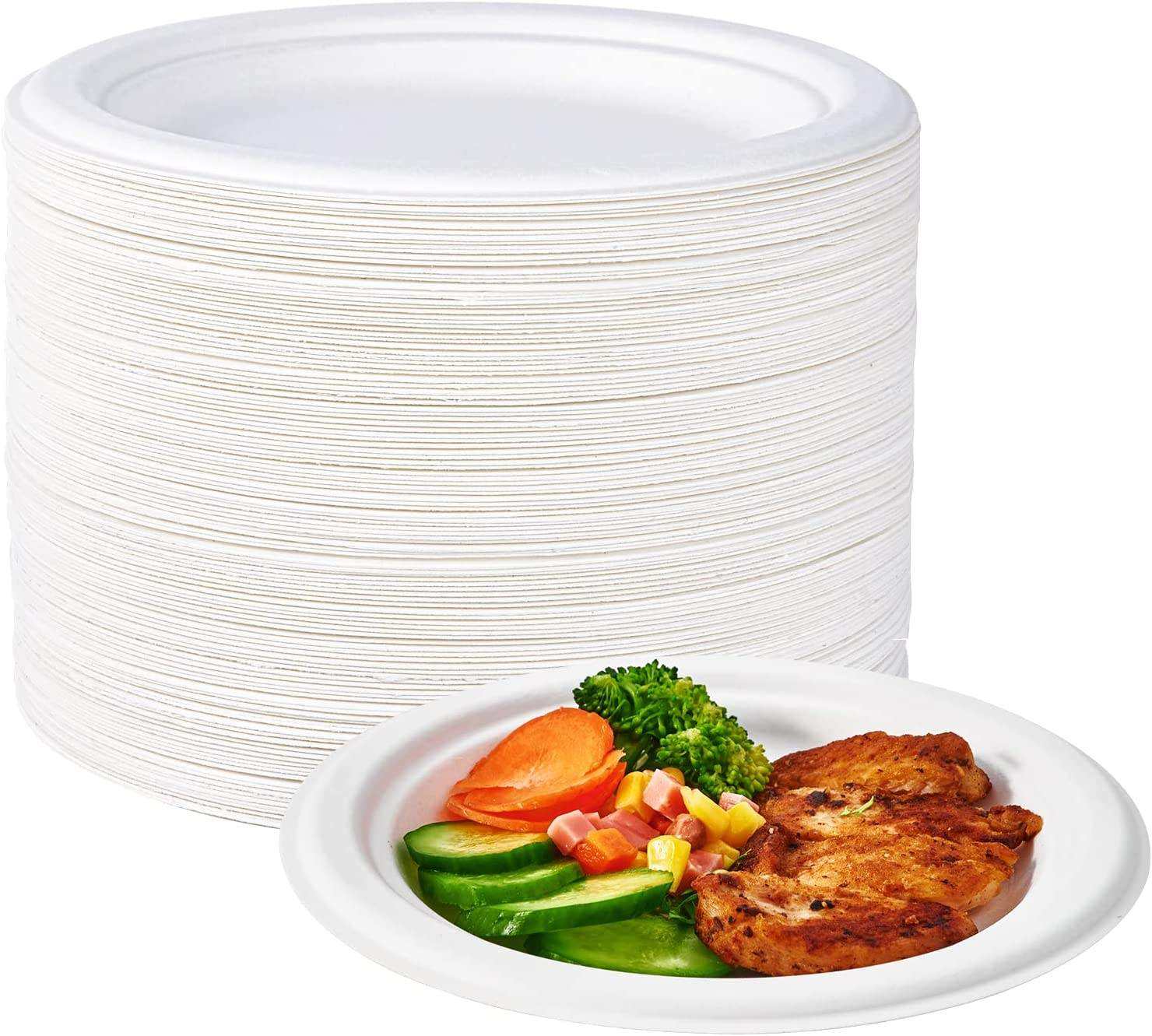 Bagasse Natural Biodegradable Eco-Friendly Food Grade Commercial Sugarcane 10 Inch 100% Compostable Heavy-Duty Paper Plates