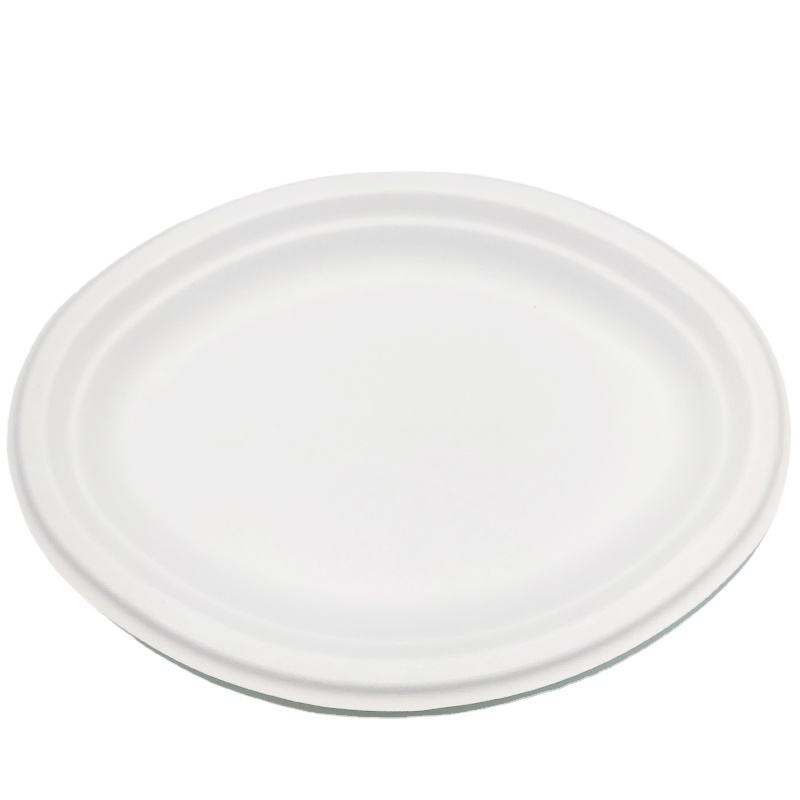 10 Inch Biodegradable Recyclable Dinner Paper Plates Disposable Square Wood Round Cake Plate