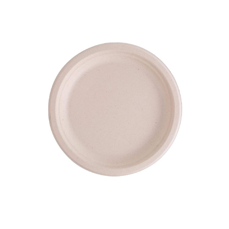 Disposable Sugarcane Bagasse Plates Low Price Sturdy and Compostable Tableware