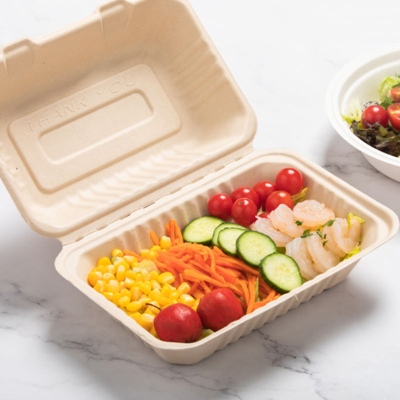 Biodegradable 9-Inch Sugarcane Bagasse Takeaway Food Container
