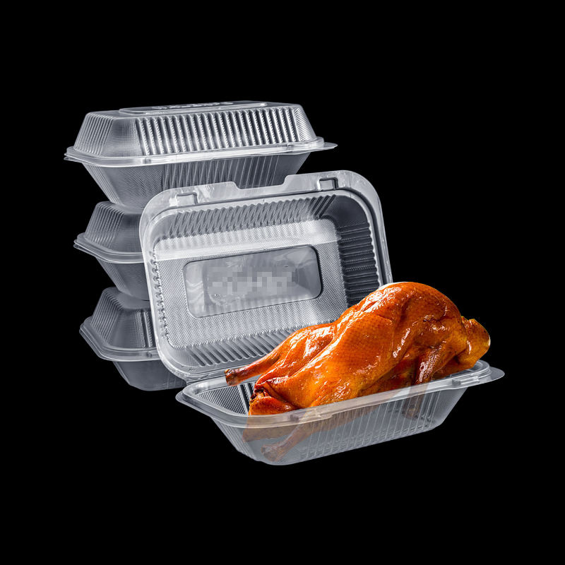 Clamshell Transparente Pp Rectangle Food Container CT5 CT3 8*8 9*6in Plastic Take Out Container Box With Hinged Lid