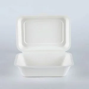 Disposable Food Trays Take Away Containers Fast Food Clamshell Sugarcane Bagasse Box