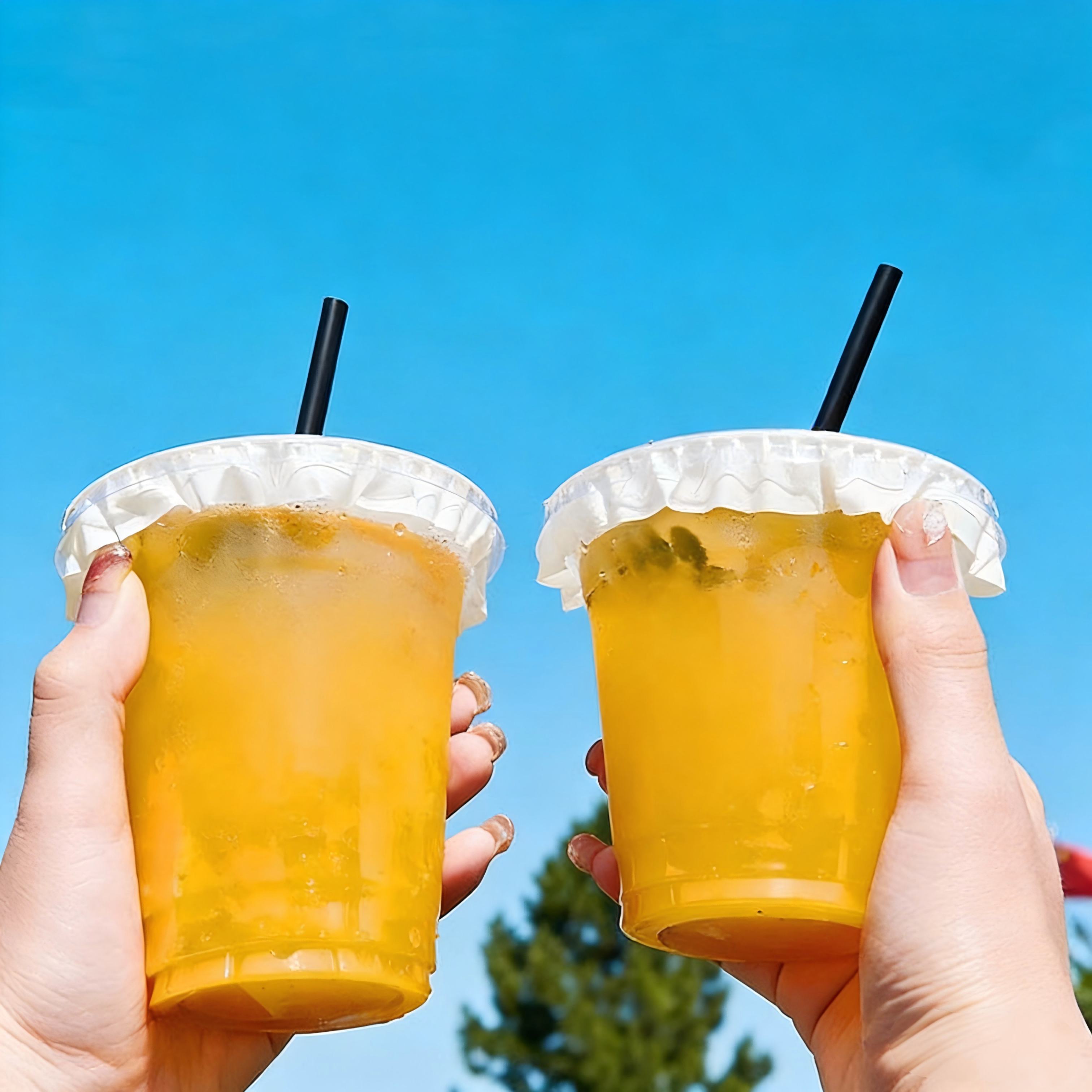 Reusable Durable Plastic Cups for Long Term Beverage Use