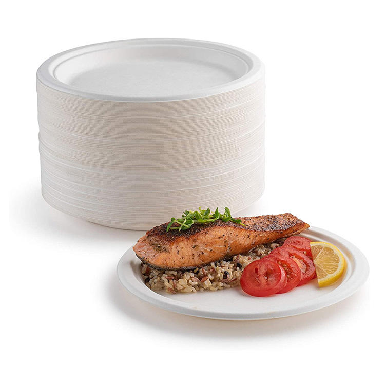 Disposable Sugarcane Bagasse Plates Low Price Sturdy and Compostable Tableware